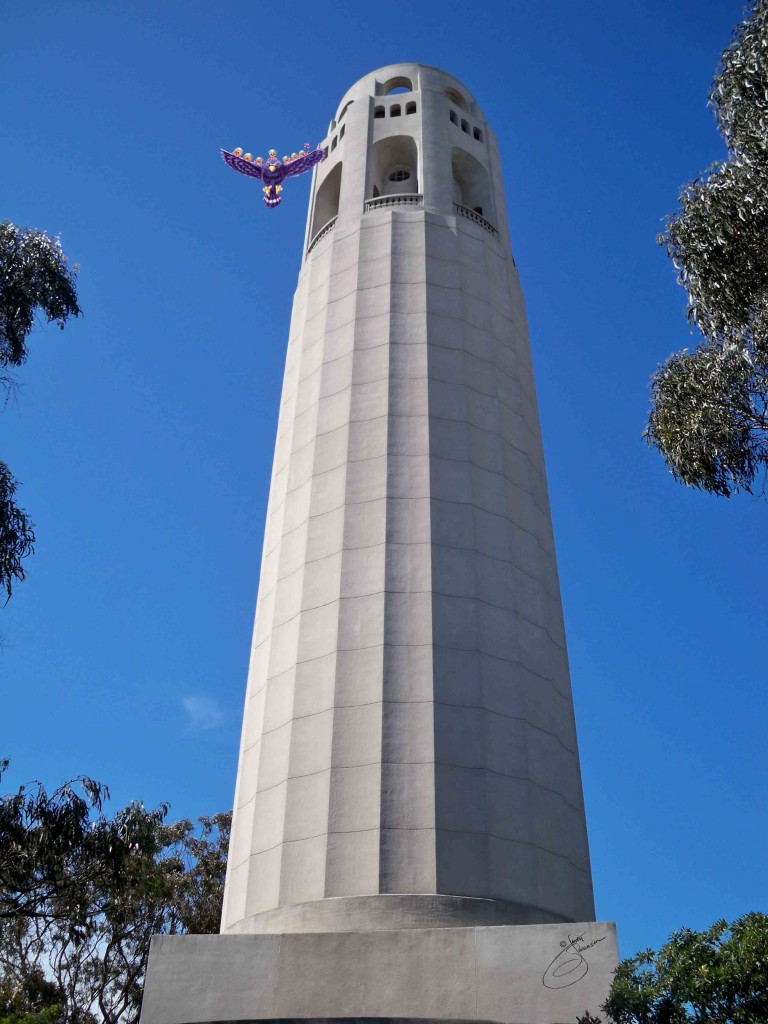 blackhawk at coit tower